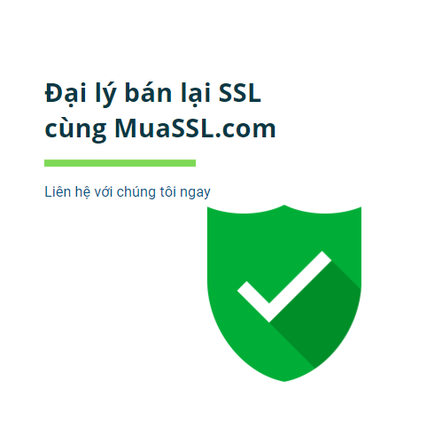 Đại lý SSL